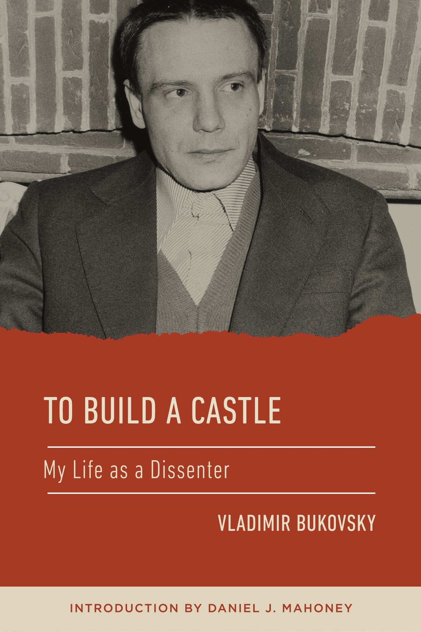 Cover image for To Build a Castle ISBN 9781967613311